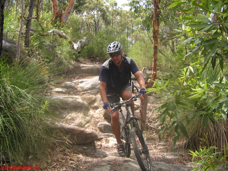 20061210-Lindfield 041 